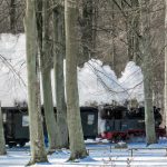 Der Rasender-Roland verbindet die Seestädte auf Rügen. Historisches Eisenbahnvergnügen, nicht nur für Eisenbahnfans.